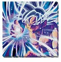 Ichiban Kuji Dragon Ball VARIATION ULTIME Tableau sur toile I Prize FULL SET MangaSphere