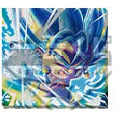Ichiban Kuji Dragon Ball VARIATION ULTIME Tableau sur toile I Prize FULL SET MangaSphere